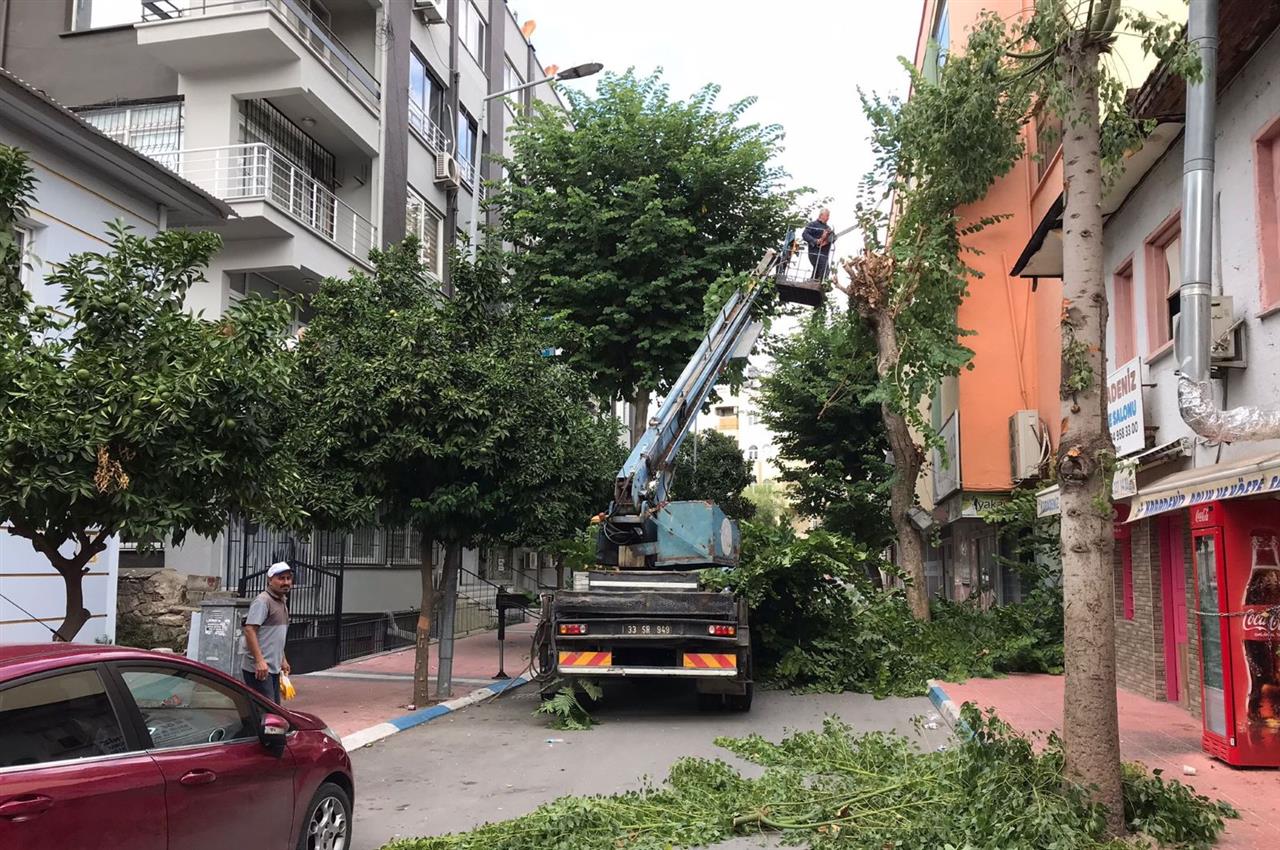 Akdeniz Belediyesi Haber